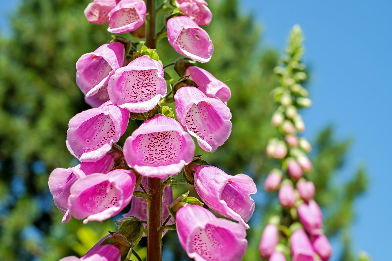 Verticale tuin met kleurrijke bloemen en planten.