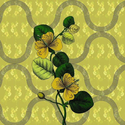 Verfris je dressoir kamer met de nieuwste botanische prints